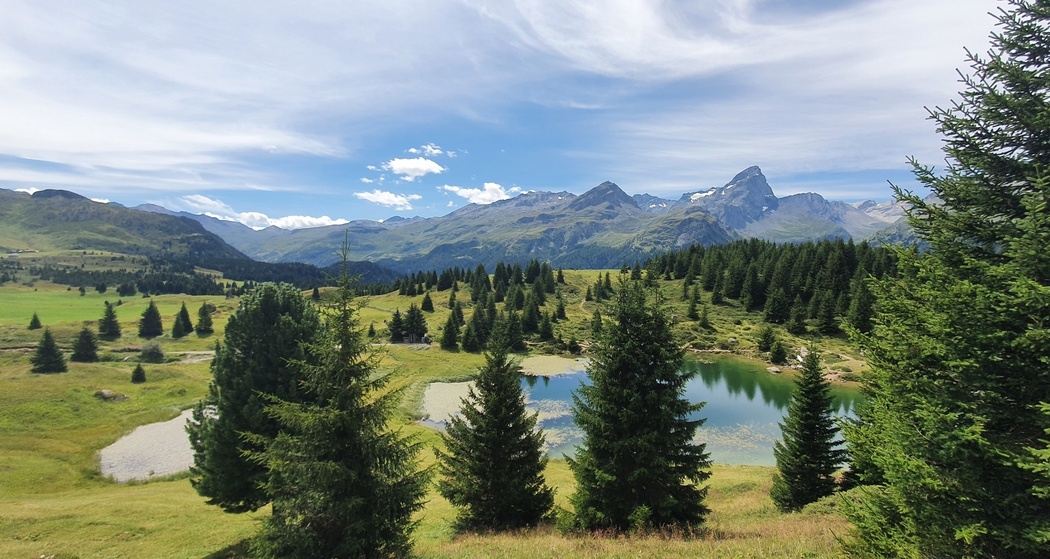 Alp Flix - Moorlandschaft von nationaler Bedeutung (Bivio - Savognin, Teilstück Via Sett) (oua_96119297_image)