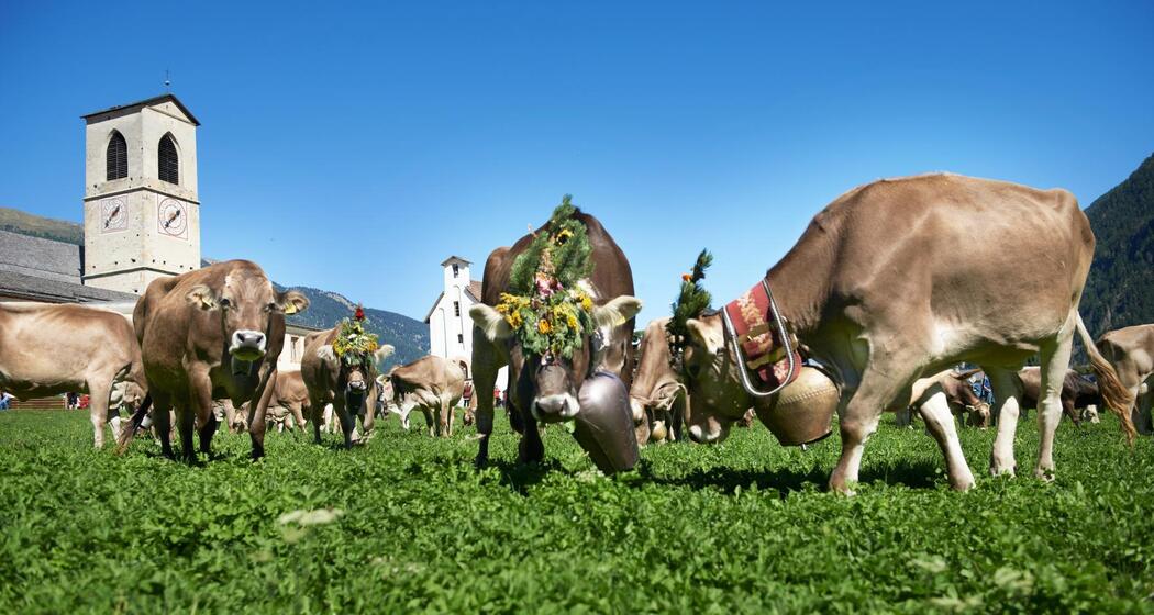 Nationalpark Panoramaweg Etappe 4: Süsom Givè – Il Fuorn [SchweizMobil-Nr. 45] (oua_9665454_image)