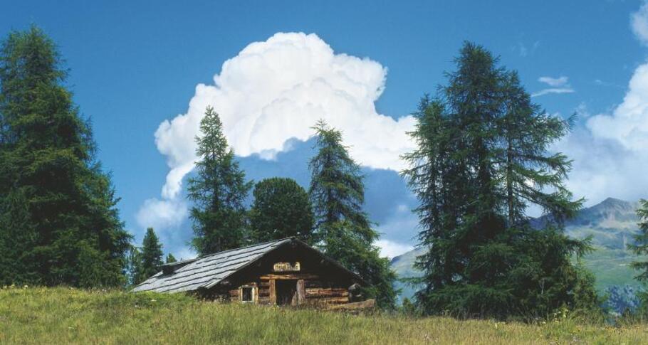 30.04 S-chanf - Pontresina, ViaValtellina (oua_9675062_image)