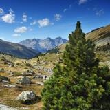 43.02 Lü - S-charl, Jakobsweg Graubünden (oua_9701532_image)