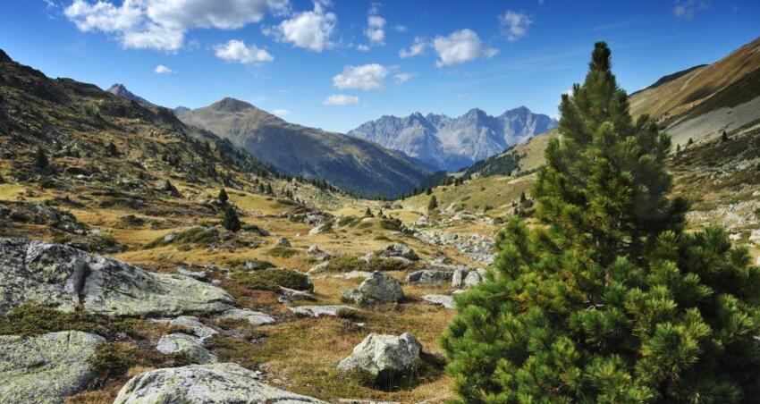 43.02 Lü - S-charl, Jakobsweg Graubünden (oua_9701532_image)