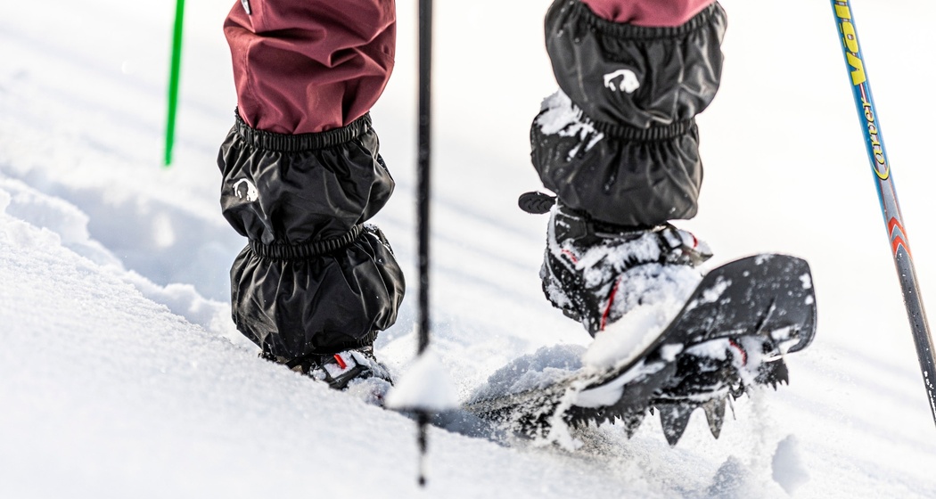 Tarasp – Avrona – Vulpera (oua_97299992_image)