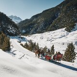 Via Silenzi : randonnée en raquettes de S-charl via Lü au col de l'Ofen (oua_97300136_image)