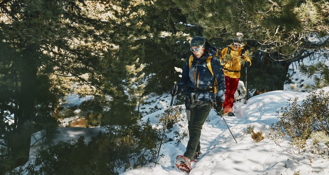 Schneeschuhtour von S-charl nach Lü im Val Müstair (oua_97300220_image)