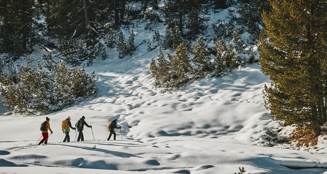 Schneeschuhtour von S-charl nach Lü im Val Müstair (oua_97300221_image)