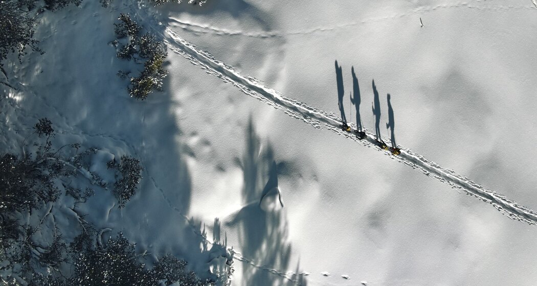 Schneeschuhtour von S-charl nach Lü im Val Müstair (oua_97300223_image)