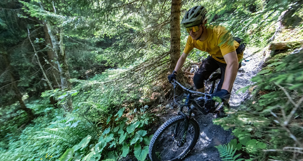 Biker auf dem Singletrail