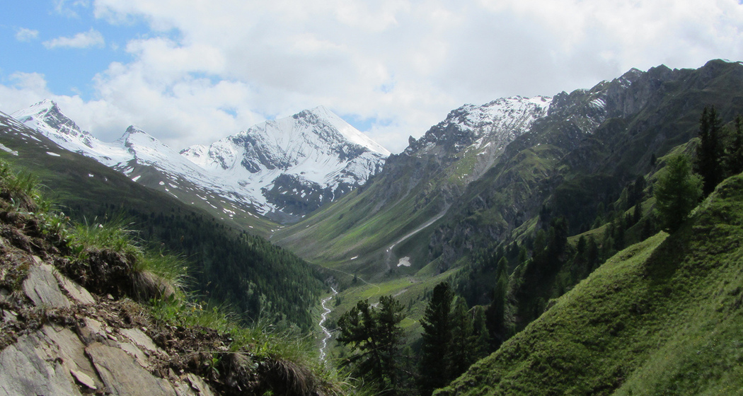 Fuorcla Curschiglias über den Schäfersteig