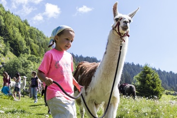Ausflug mit Lamas