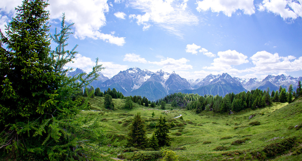 Hoch über Ftan: Piz Clünas – Alp Laret