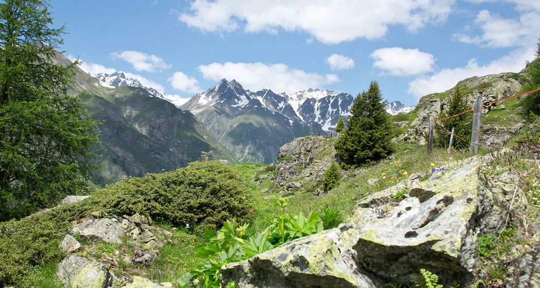 Hoch über Ftan: Piz Clünas – Alp Laret