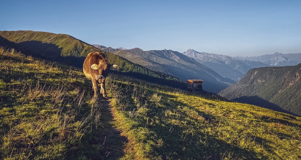 Rinerhorn - Hubelhütte - Äbirügg - Rinerhorn (oua_98307291_image)