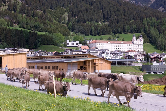 Grange abbatiale Salaplauna (oua_9873691_image)
