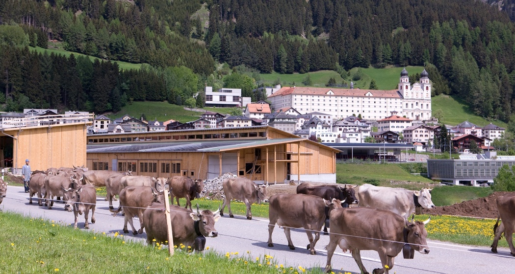 Klosterhof Salaplauna (oua_9873691_image)