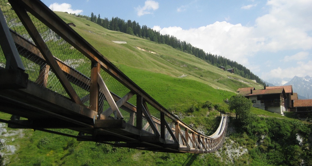 Hängebrücke aus Lärchenholz (oua_9873856_image)