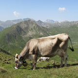Fliesseralpe and Alp Bella