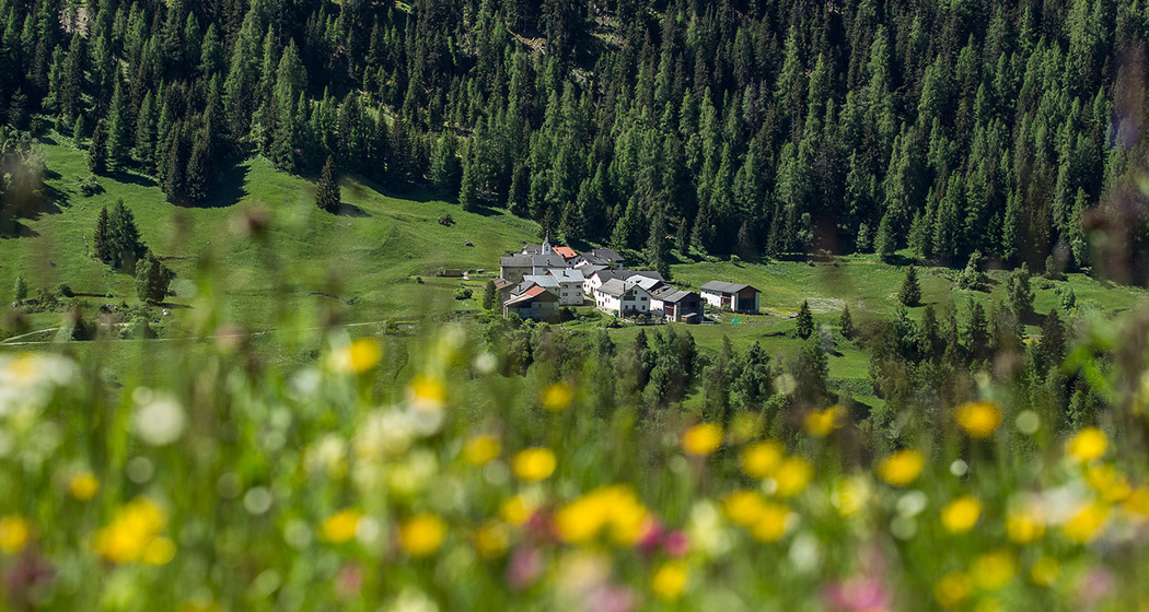Tarasp – Innschlucht – Ardez