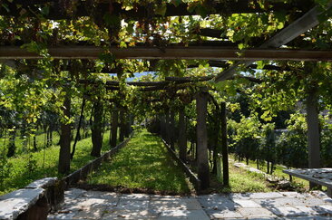 Cantina Ai Filat (oua_99461219_image)