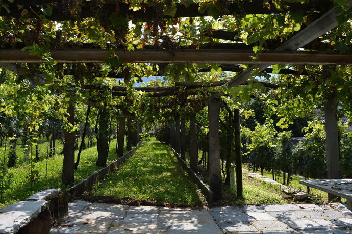 Cantina Ai Filat (oua_99461219_image)