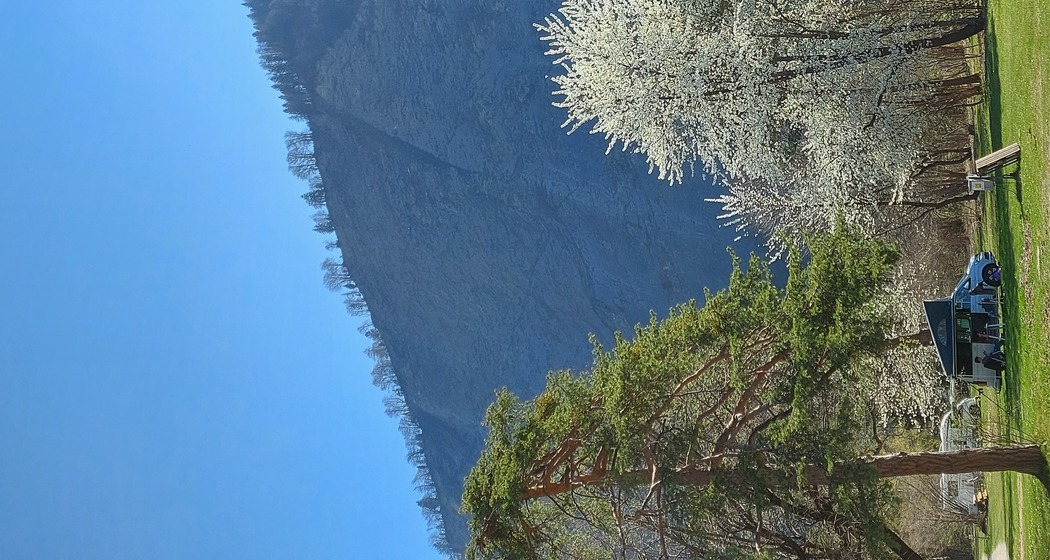 Waldcamping.ch (Stop & Go Angebot täglich 18h-9h) (pns_295a5aacedee0bb3774145b4e00ef52c)