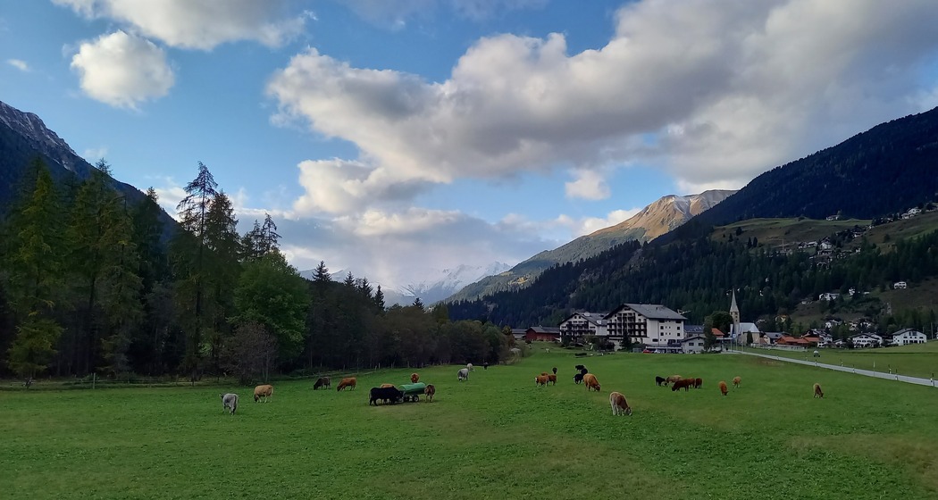 Zops Sommer (pns_fcfda66264f70f23000e3402ffe255ec)