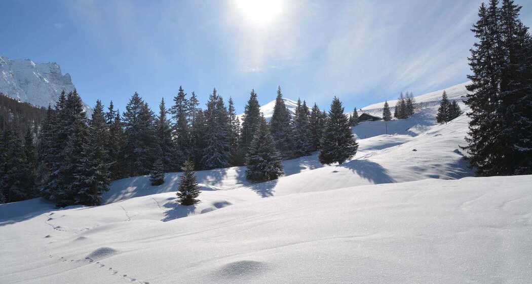 Savognin (st_station_picture_3_2c771e2)