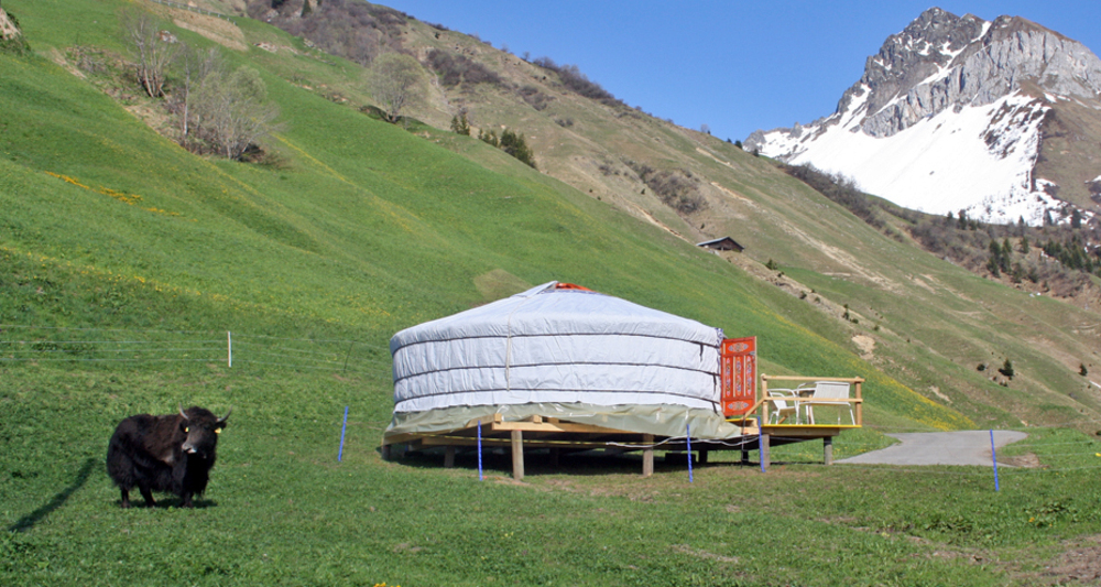 Mongolische Jurte mit Yak