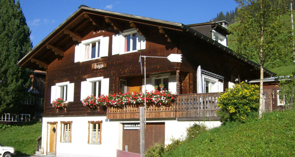 Studio Schija Aussen Sommer