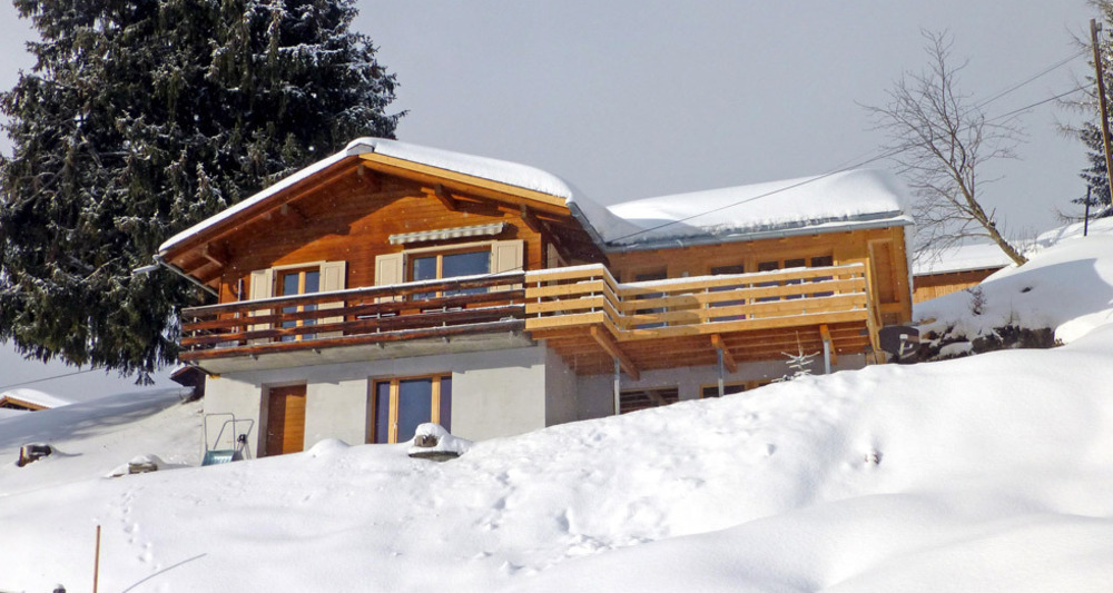 Larix Aussenansicht im Winter