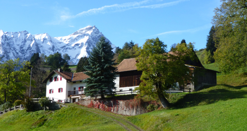 Aussenansicht und Umgebung