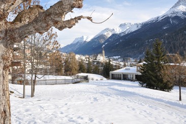 Chasa Tulai F114 (tom_tds00020014294859538_image)