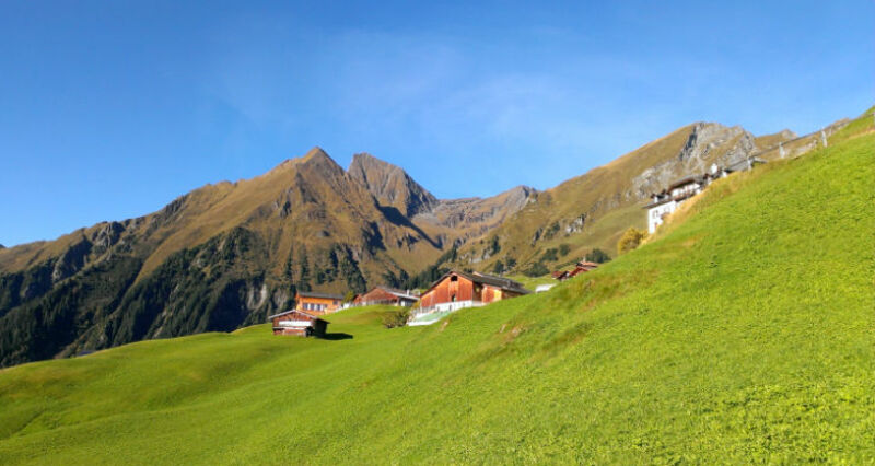 Ferienhaus Biobuchli - Ansicht Sommer