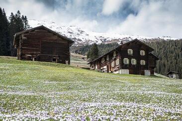 Ferienhaus Maierta - Ansicht Sommer
