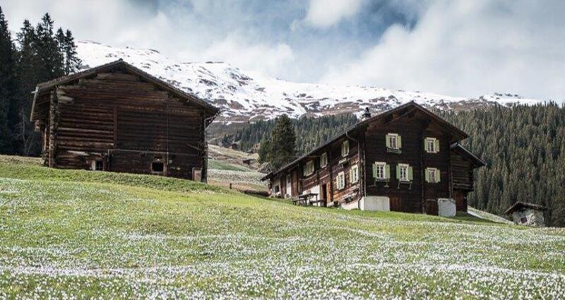 Ferienhaus Maierta - Ansicht Sommer