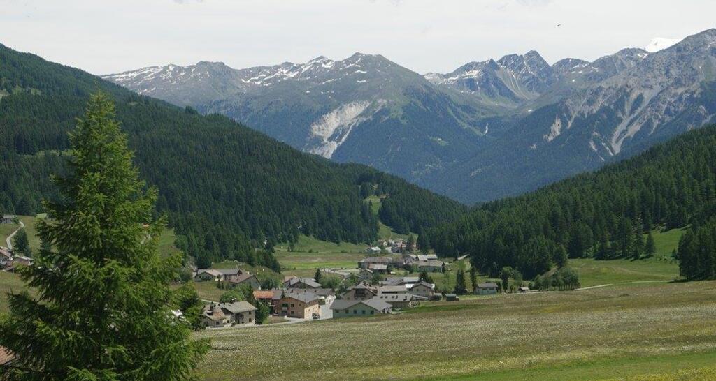 Ferienwohnung Chasa Müfaits Parterre (tom_tds00020010756662807_image)