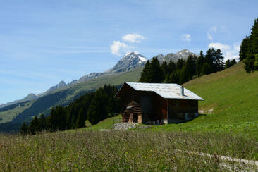 Plumarscha, Brigels, Friberg, Aussenansicht