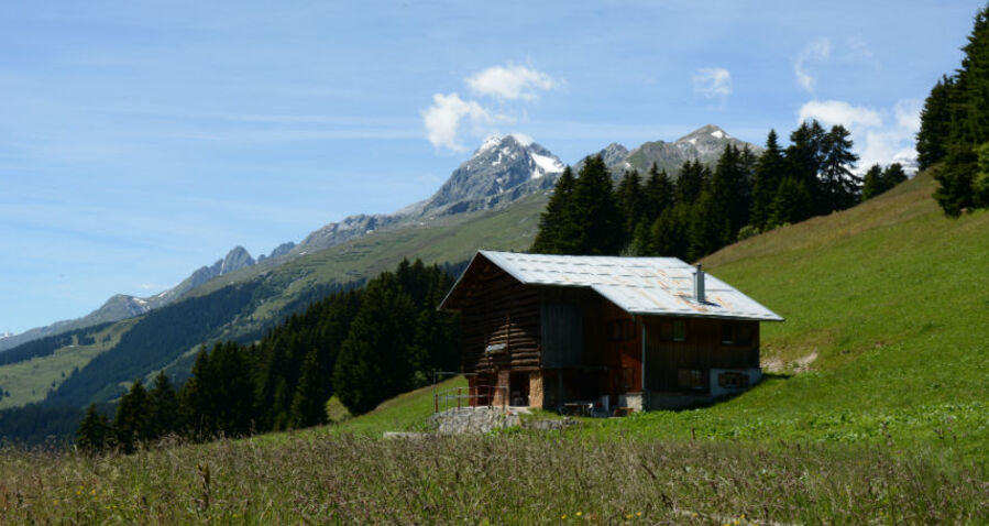 Plumarscha, Brigels, Friberg, Aussenansicht