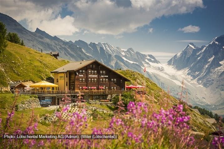 Alpenhotel zur Wildi en été