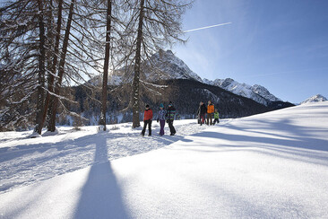 Winterwandern