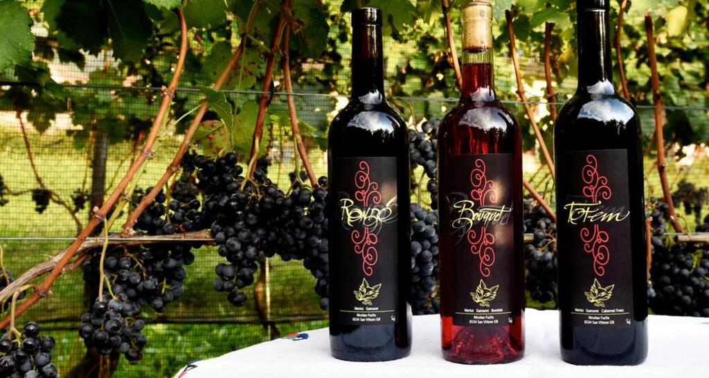 BnB da Käthy Agriturismo (tom_tds00020011353495647_image)