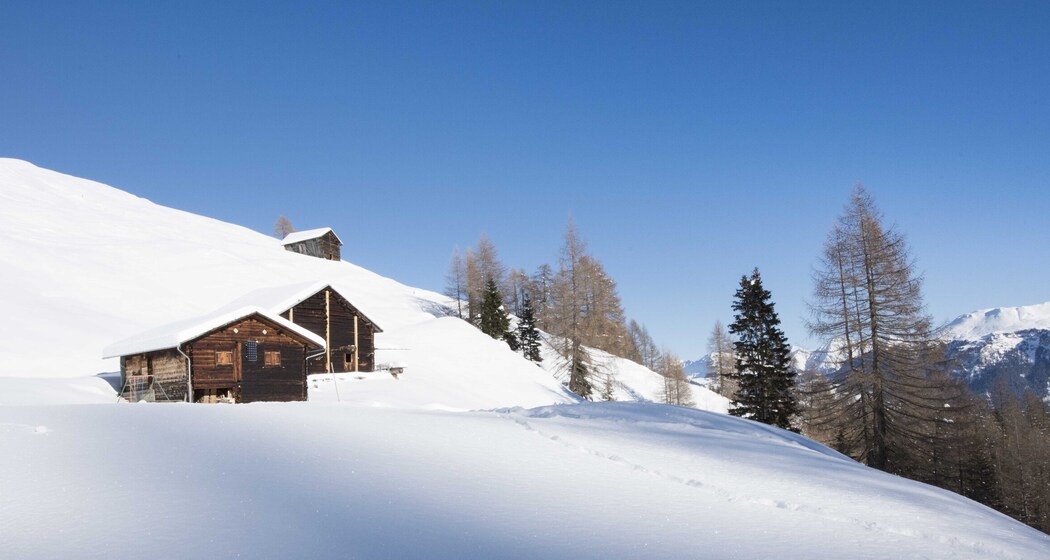 Maiensäss Larasch (tom_tds00020011932254776_image)