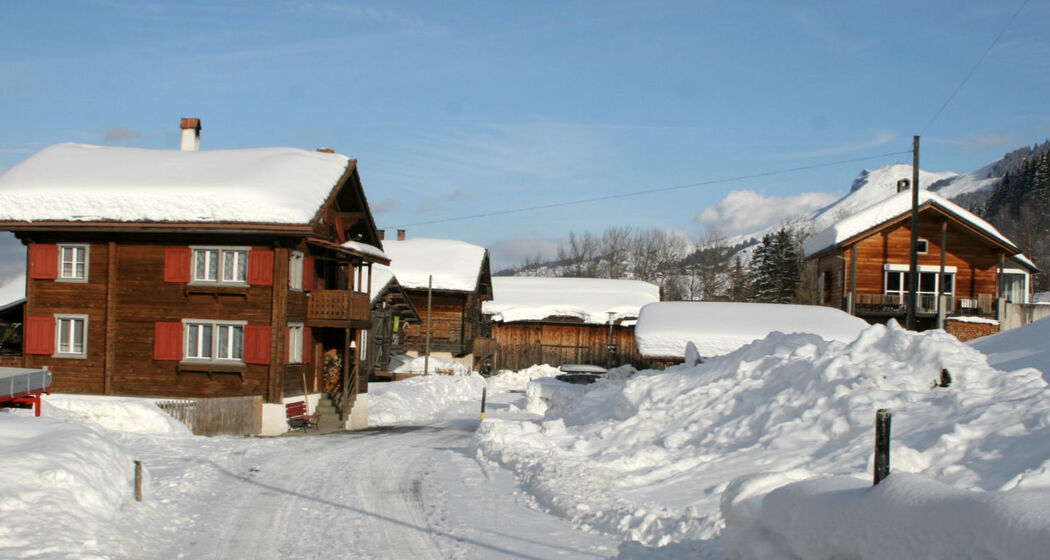 Ferienhaus Becht, Tschappina - Ansicht Winter