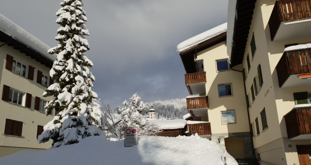 Quadra / Masé-Goldberg (tom_tds00020012116082116_image)