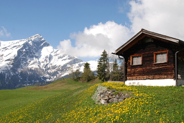 Maiensäss Casaritsch (tom_tds00020012215618766_image)