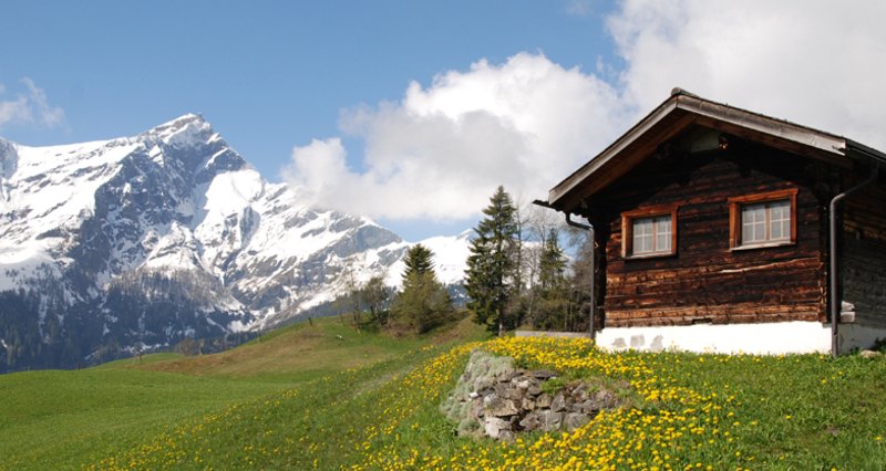 Maiensäss Casaritsch (tom_tds00020012215618766_image)