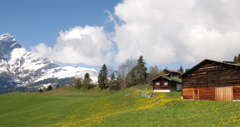 Maiensäss Casaritsch (tom_tds00020012215619712_image)