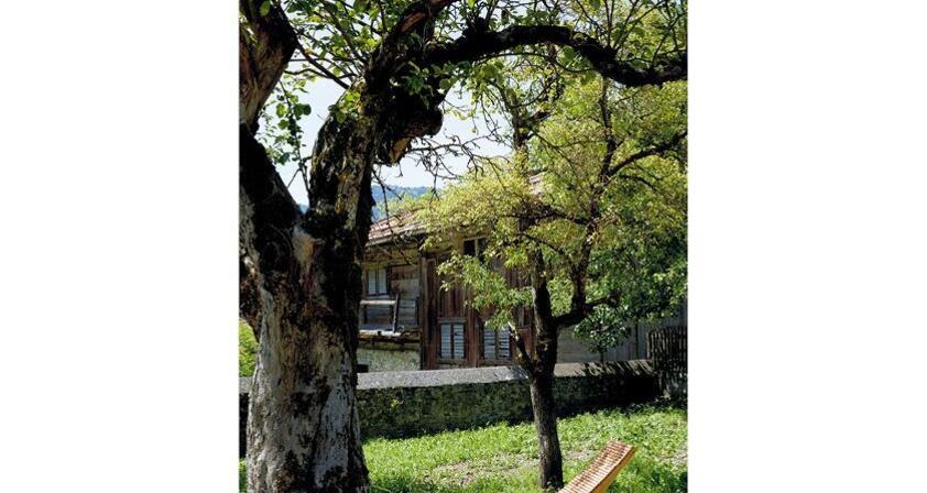 Gasthaus am Brunnen, Valendas (tom_tds00020012216011284_image)