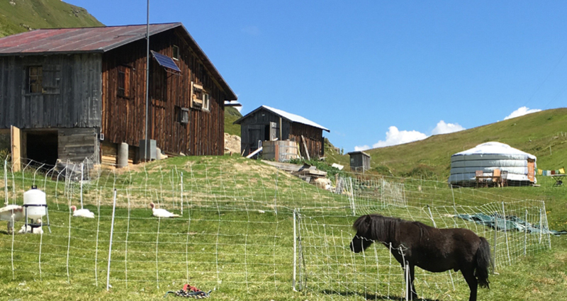 Maiensäss Mongolische Jurte Heinz (tom_tds00020012231252777_image)