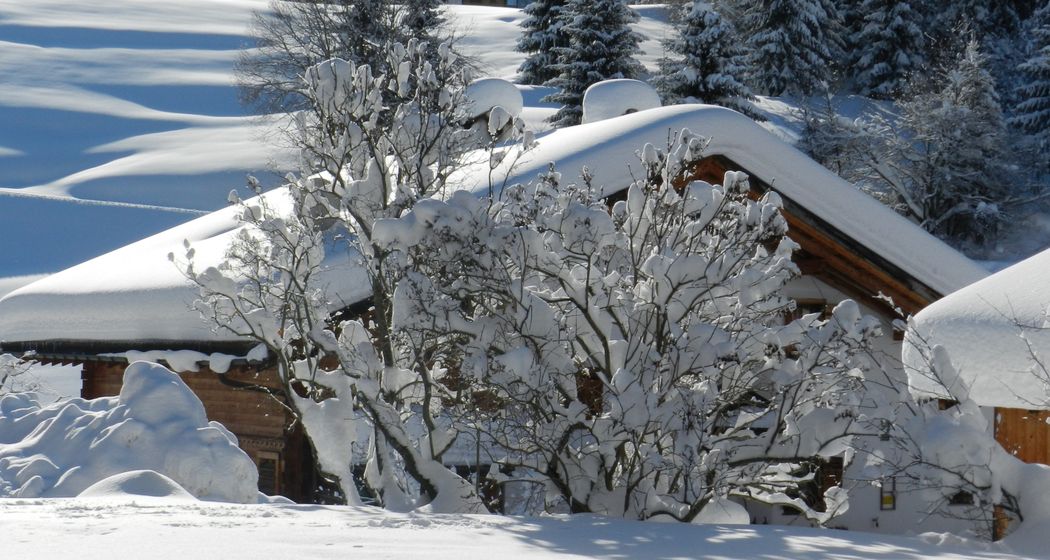 Ferienwohnung Arnika Cathrein - Ansicht Winter