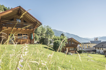 Ferienhaus Chalets Trafögl (tom_tds00020012430708465_image)